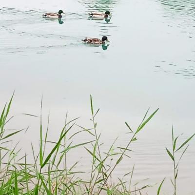 Img 20250604 wa0000