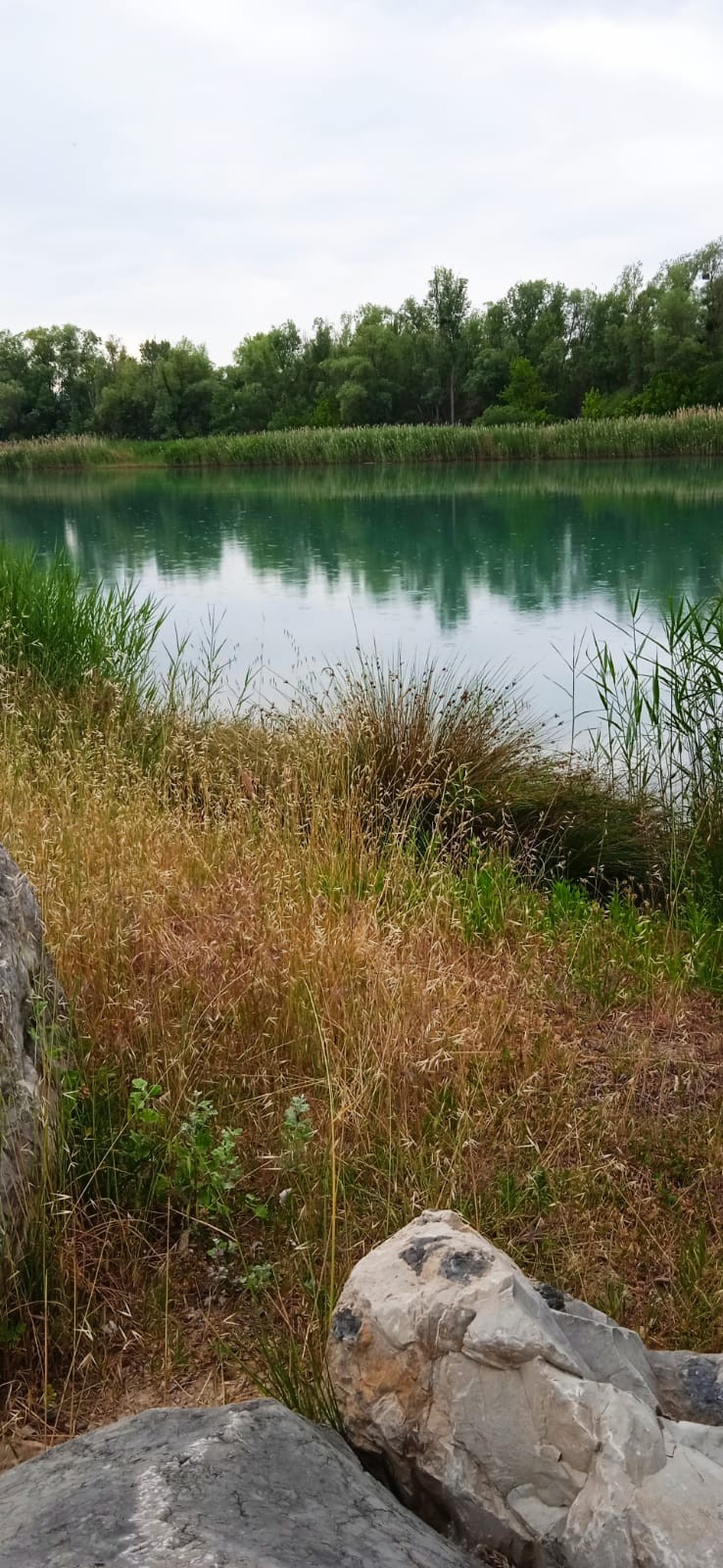 Img 20250604 wa0002