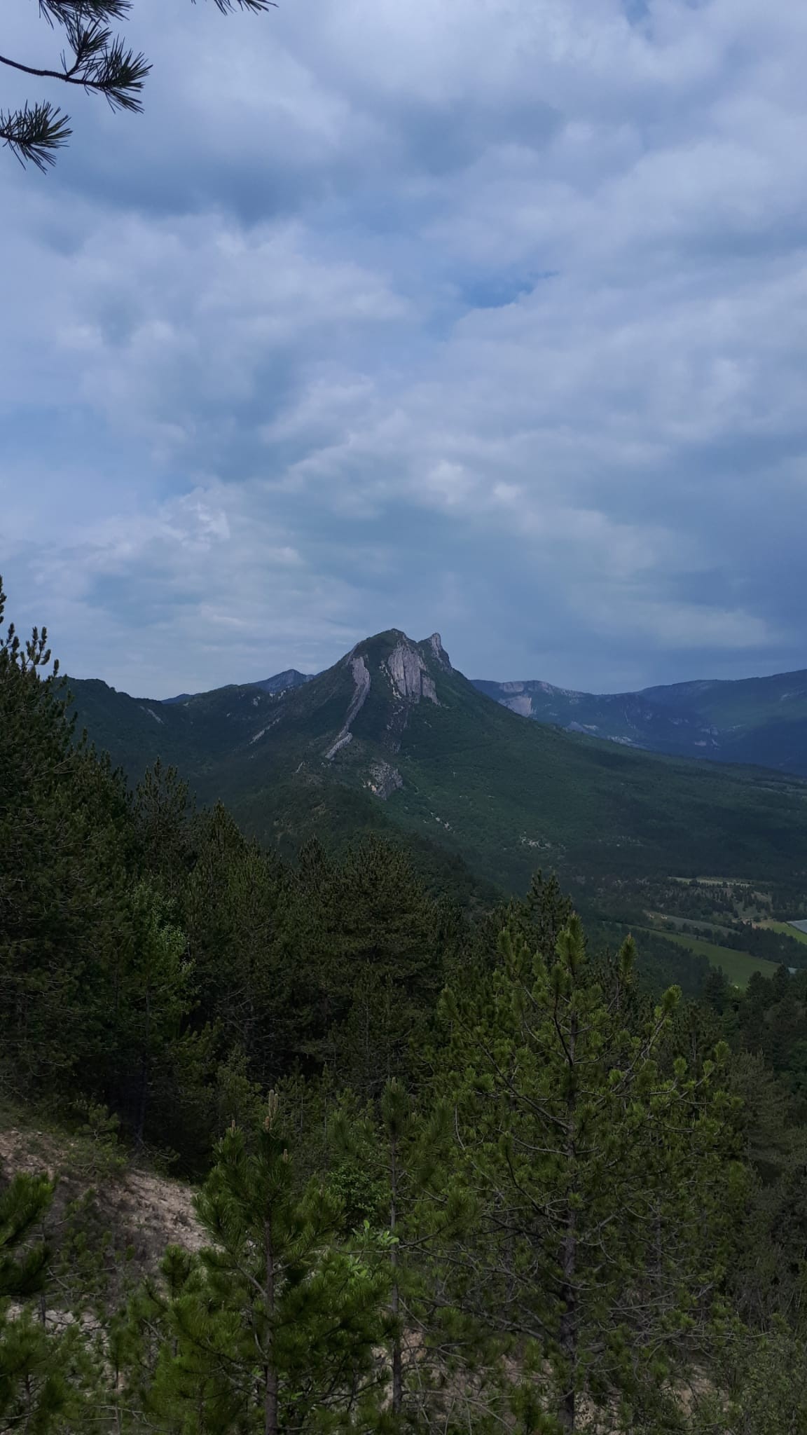Le mollar 4 