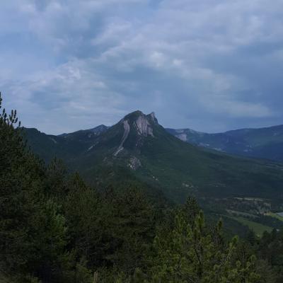 Le mollar 4 