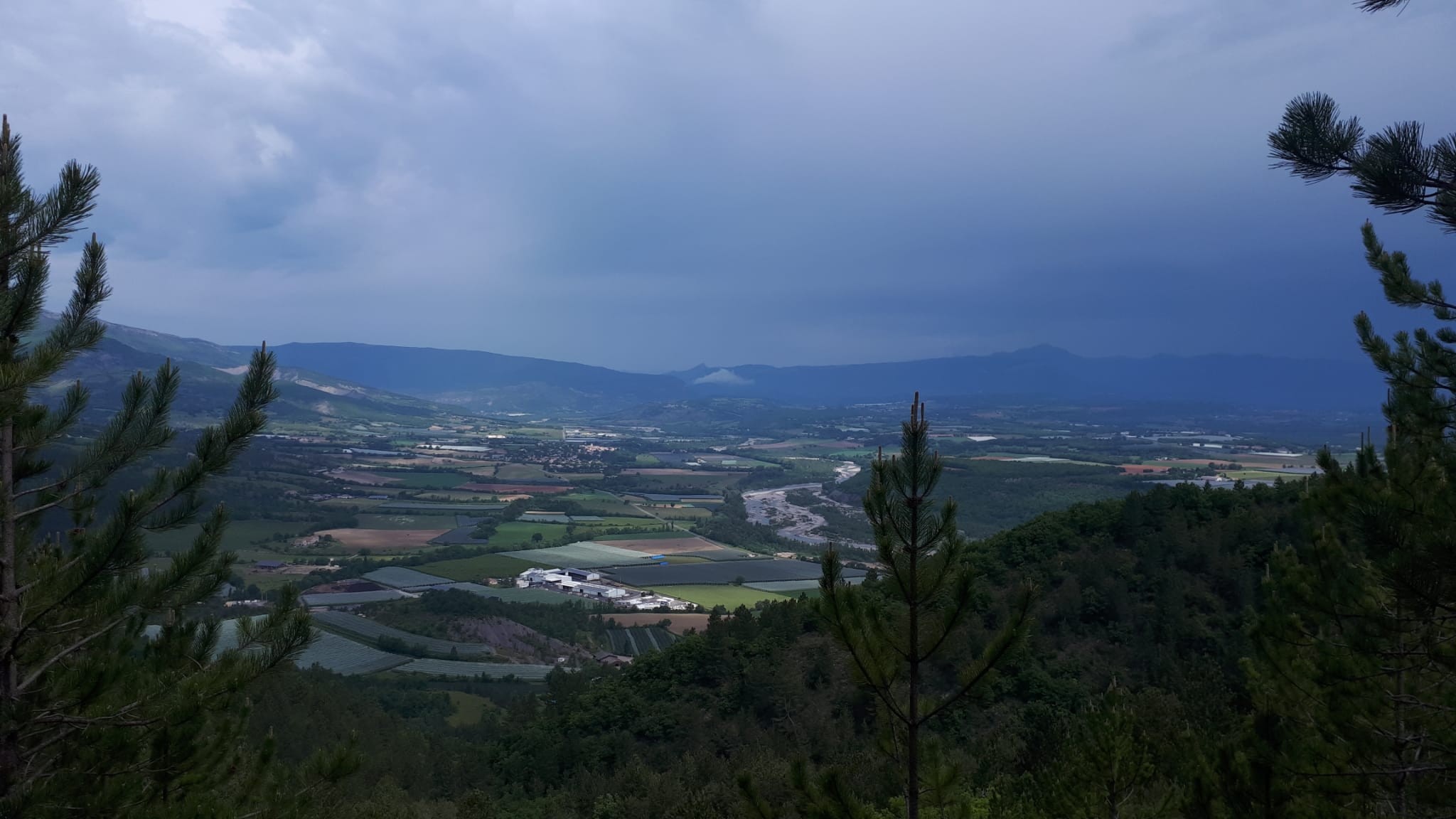 Le mollar 5 