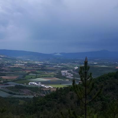 Le mollar 5 