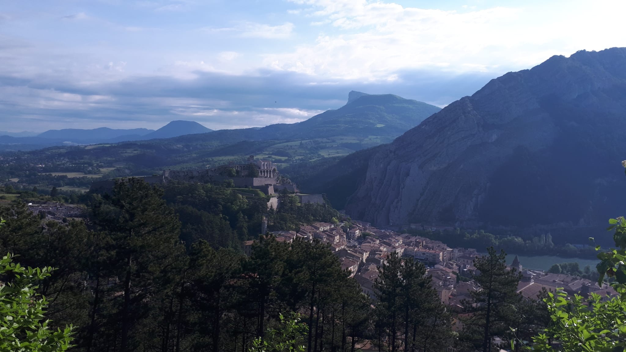 Le mollar 6 