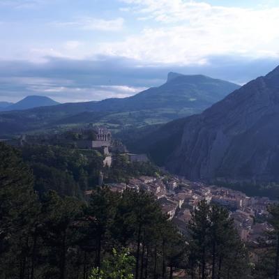 Le mollar 6 