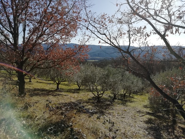 Le puy par le vieil aiglun 17 