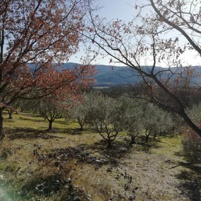 Le puy par le vieil aiglun 17 