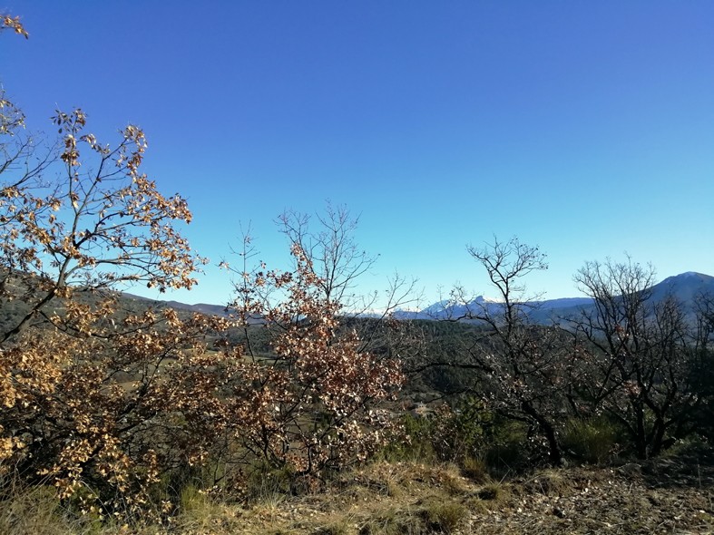 Le puy par le vieil aiglun 5 