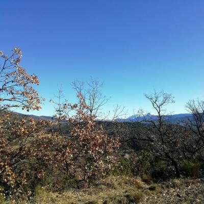 Le puy par le vieil aiglun 5 