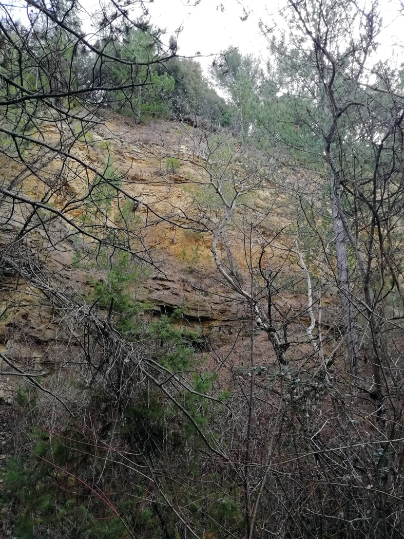 Les balcons de manosque les mines 12 