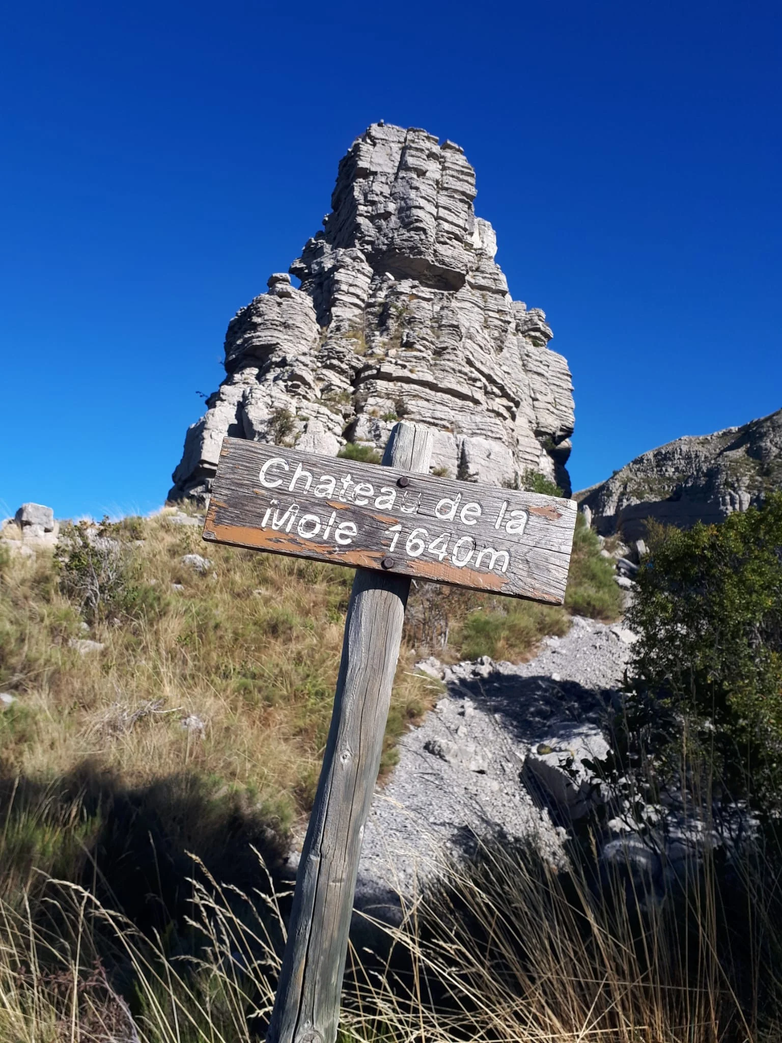 Vlavoire 12 